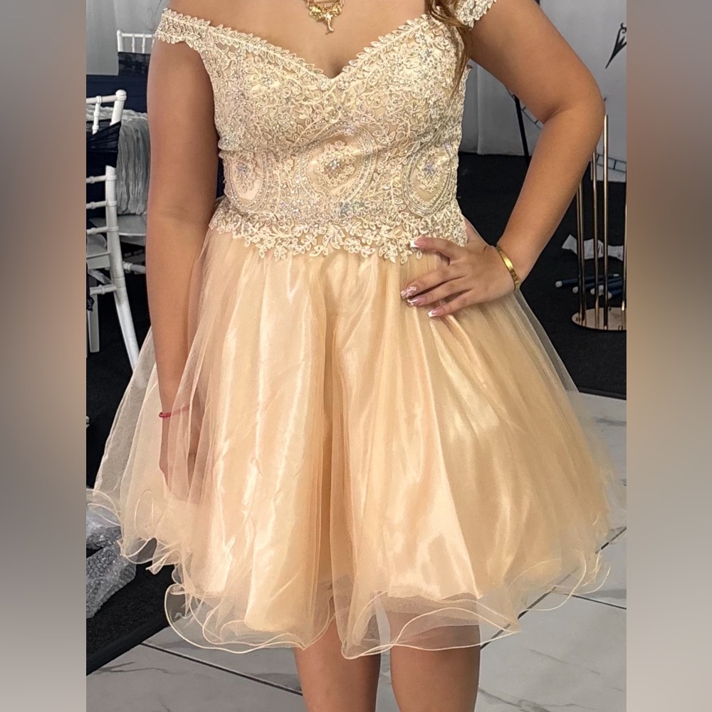 Elegant Champagne Tulle Dress